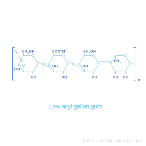 Gellan Gum Low Acyl Gellan Gum microbial metabolic gel gellan gum Manufactory